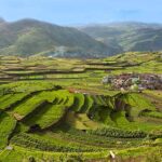 Top places to visit in Assam