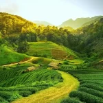 Top places to visit in Guwhati