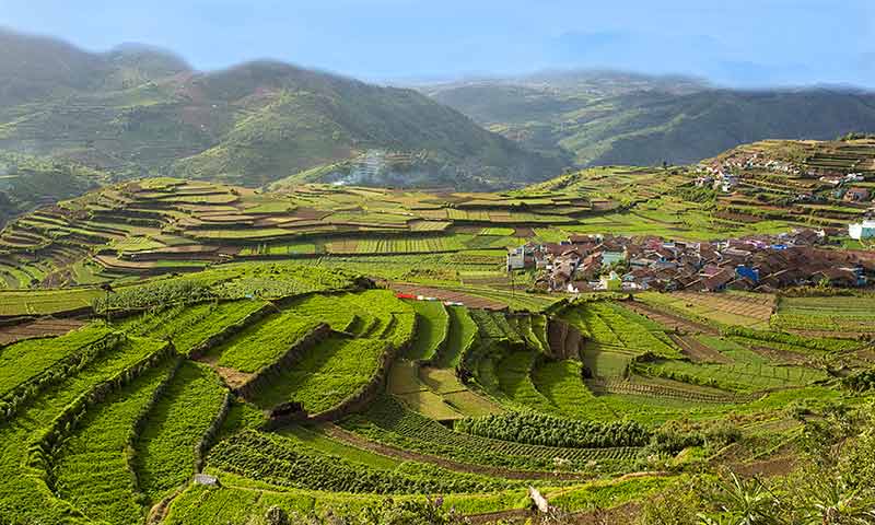 Top places to visit in Assam